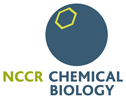 NCCR logo