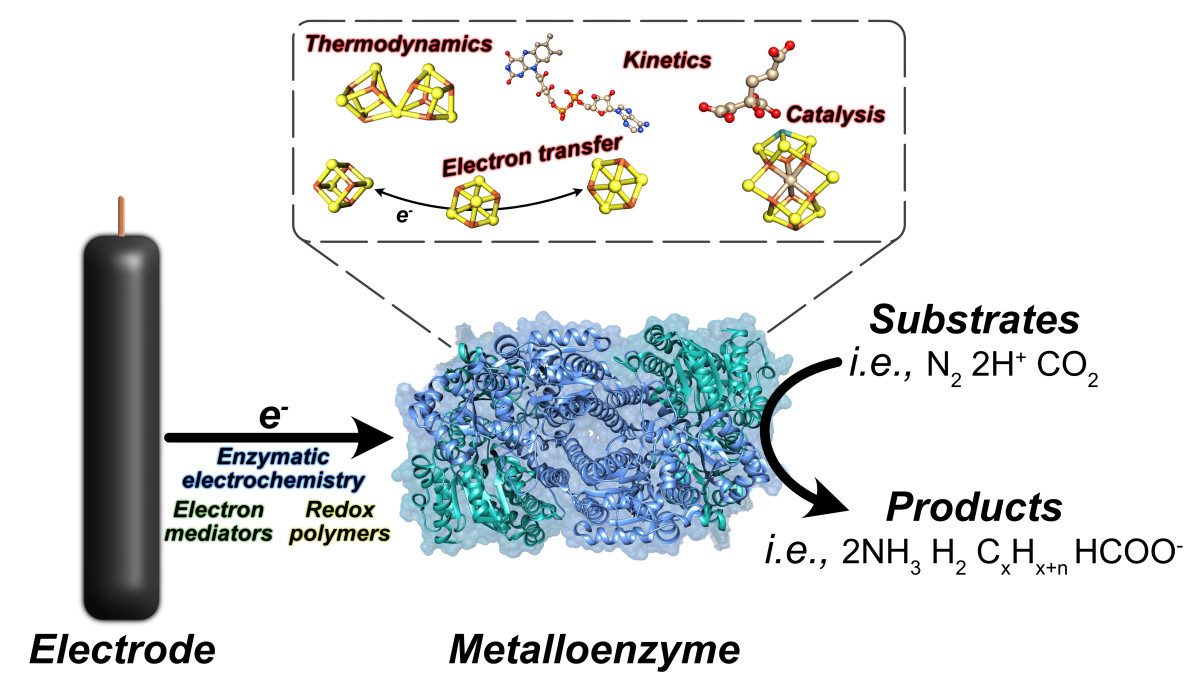 metalloenzymes-new-environmental-biotechnologies