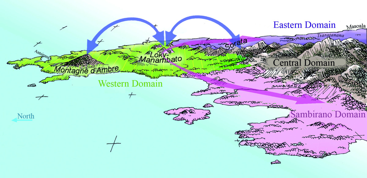 study-conservation-tropical-forests