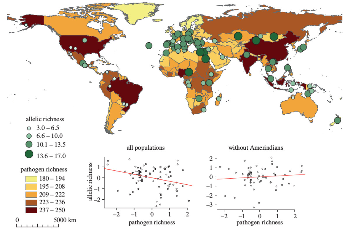 immunogenetics-and-human-evolution