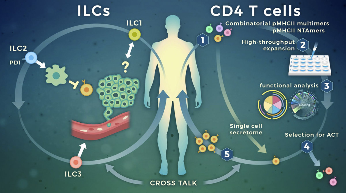 targeting-cytokine-secreting-lymphocytes-cancer-immunotherapy