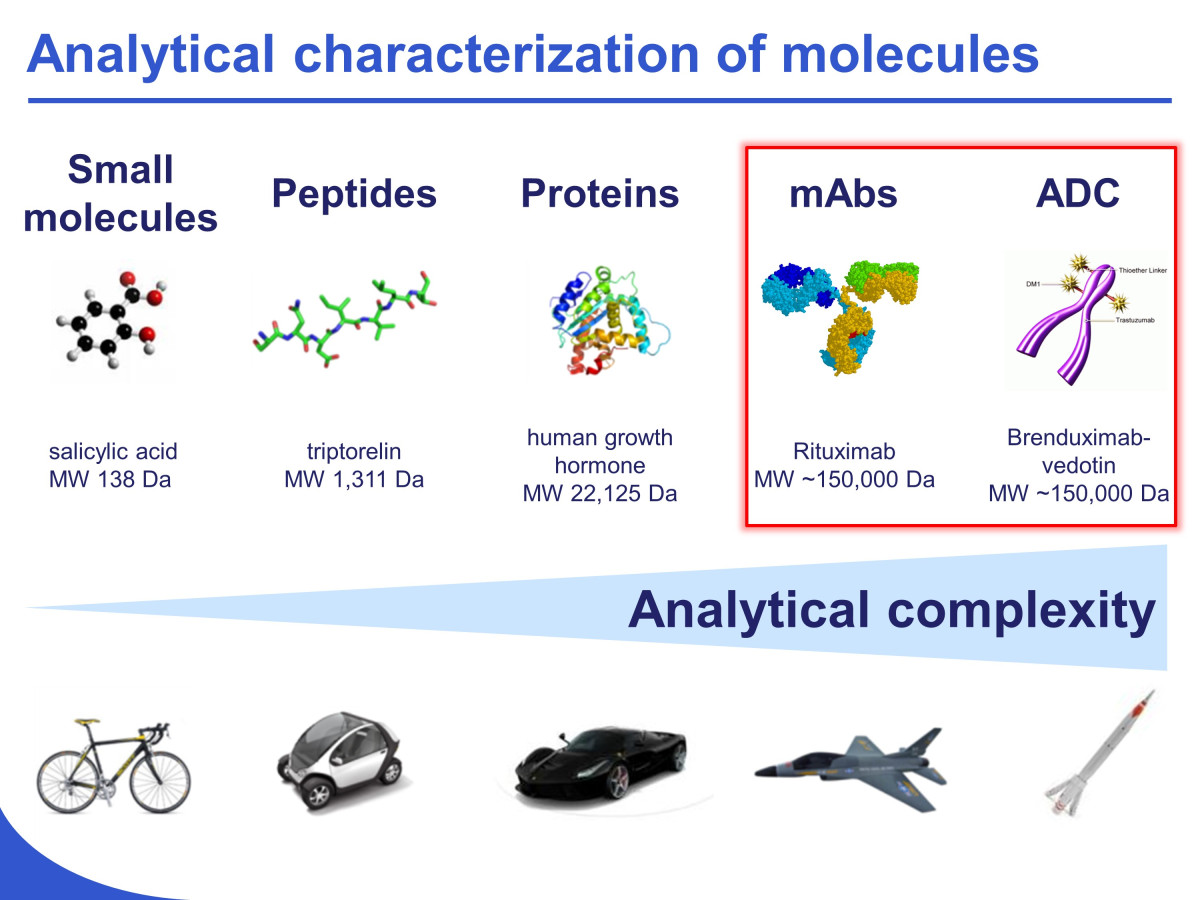 development-of-innovative-strategies-for-the-analytical-characterization-of-protein-biopharmaceuticals