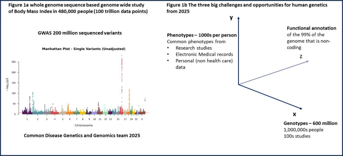 common-disease-genetics-and-genomics