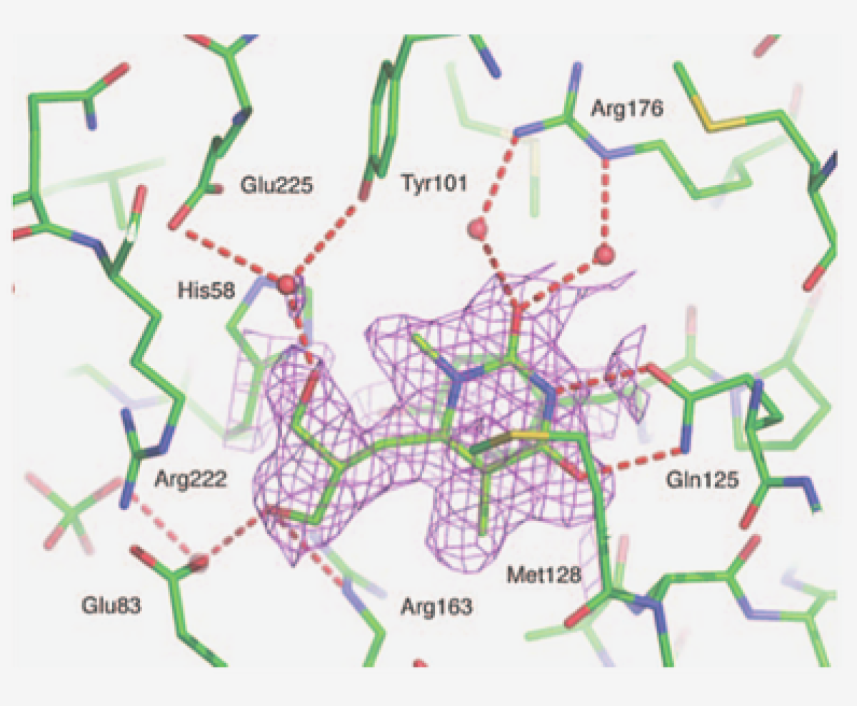 pharmaceutical-biochemistry